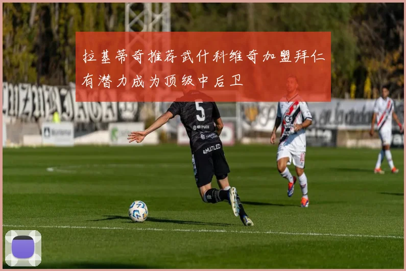 拉基蒂奇推荐武什科维奇加盟拜仁有潜力成为顶级中后卫